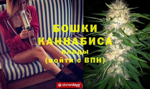 МДПВ Алексин
