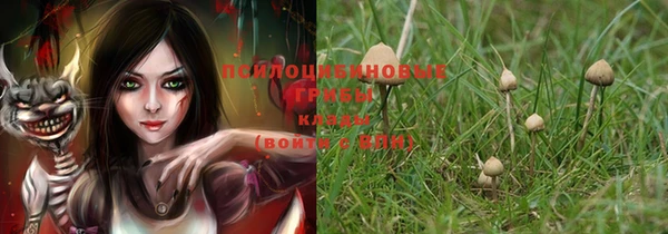 хмурый Нея