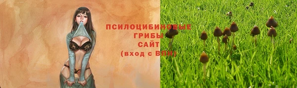 дживик Алексеевка